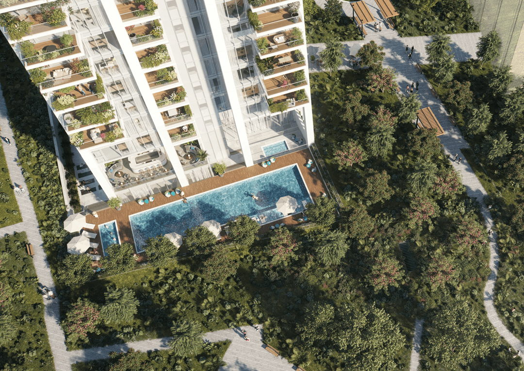 תמונת גלריה